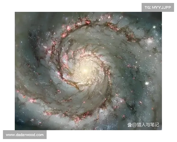 星系形成机制的十个研究方向及其未来发展趋势探讨 星系形成机制的十个研究方向及其未来发展趋势探讨