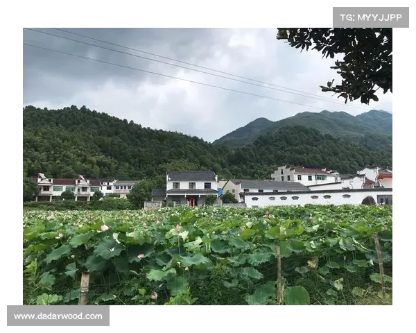 蓝采和的神秘传说与其踪迹探索在人间与仙境之间的寻访之旅