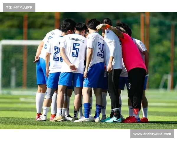 全面揭开足球虚拟队背后运作秘密与策略真相深度探索解析全景视角